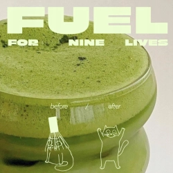 Yokiro Matcha Master's Ceremonial 30g japońska matcha ceremonialna premium