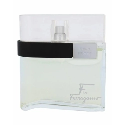 Salvatore Ferragamo Pour Homme EDT 100ml - męski zapach orientalny