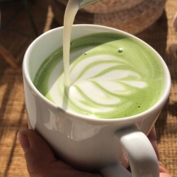 Zielona herbata Matcha Bros. Matcha Tradycyjna 250 g