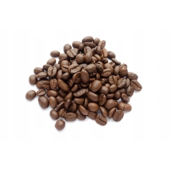 Lavazza Tierra 100% Arabica Selection PROFESSIONAL 1 kg ziarna