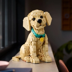 LEGO Icons 11384 Szczeniak Golden Retriever