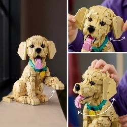 LEGO Icons 11384 Szczeniak Golden Retriever