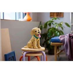 LEGO Icons 11384 Szczeniak Golden Retriever