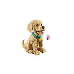 LEGO Icons 11384 Szczeniak Golden Retriever