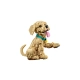 LEGO Icons 11384 Szczeniak Golden Retriever