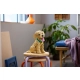 LEGO Icons 11384 Szczeniak Golden Retriever