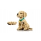 LEGO Icons 11384 Szczeniak Golden Retriever
