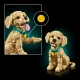 LEGO Icons 11384 Szczeniak Golden Retriever