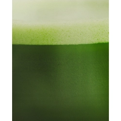 Herbata Matcha japońska Oromatcha 30g premium przepyszna bez silnej goryczy
