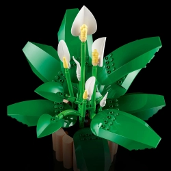 LEGO Botanicals 11504 Skrzydłokwiat