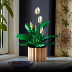 LEGO Botanicals 11504 Skrzydłokwiat