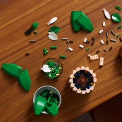 LEGO Botanicals 11504 Skrzydłokwiat