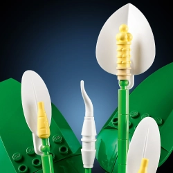 LEGO Botanicals 11504 Skrzydłokwiat