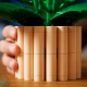 LEGO Botanicals 11504 Skrzydłokwiat