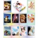 Fujifilm wkład do Instax Mini Macaron 10 szt.