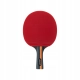 HEAD RAKIETKA DO TENISA STOŁOWEGO + POKROWIEC paletka