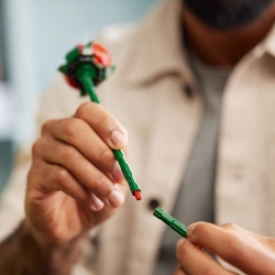 LEGO Botanicals 10328 Bukiet Róż