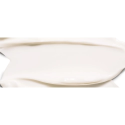 Krem do twarzy L'Oréal Paris Revitalift Filler HA przeciwstarzeniowy 50 ml